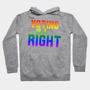 Voting is Not a Freaking Honor--IT IS A RIGHT Hoodie